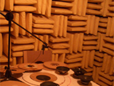 Acoustic Test Room